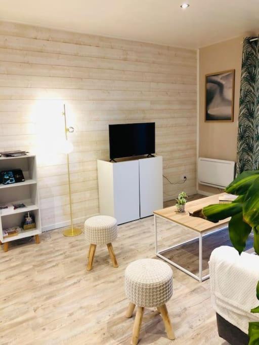Maison 4 P. Chateau De La Loire Sonzay エクステリア 写真